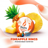 Табак Burn Pineapple Rings (Ананасовые Колечки) 25г Акцизный